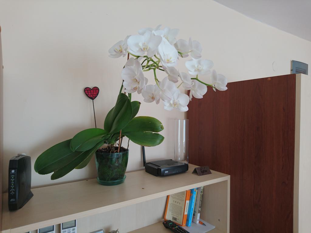 Park Apartments & Rooms Popovi サンダンスキ エクステリア 写真